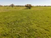 Inverella, Carinya & Mindaribba, Brewarrina, NSW 2839-Image