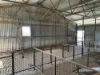 Inverella, Carinya & Mindaribba, Brewarrina, NSW 2839-Image