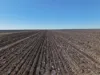 Inverella, Carinya & Mindaribba, Brewarrina, NSW 2839-Image