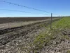 Inverella, Carinya & Mindaribba, Brewarrina, NSW 2839-Image