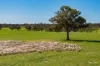 Kamarah Road, Narrandera, NSW 2700-Image