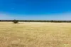 Kamarah Road, Narrandera, NSW 2700-Image