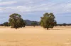 Kamarah Road, Narrandera, NSW 2700-Image