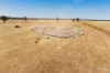 Kamarah Road, Narrandera, NSW 2700-Image