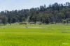 Kamarah Road, Narrandera, NSW 2700-Image