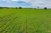 Kamarah Road, Narrandera, NSW 2700-Image