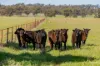Kamarah Road, Narrandera, NSW 2700-Image