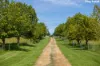 "King Ranch" 481 Upper Bobo Road, Dorrigo NSW 2453-Image