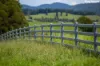 "King Ranch" 481 Upper Bobo Road, Dorrigo NSW 2453-Image