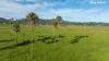 "King Ranch" 481 Upper Bobo Road, Dorrigo NSW 2453-Image