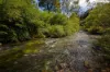 "King Ranch" 481 Upper Bobo Road, Dorrigo NSW 2453-Image