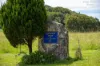 "King Ranch" 481 Upper Bobo Road, Dorrigo NSW 2453-Image