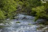 "King Ranch" 481 Upper Bobo Road, Dorrigo NSW 2453-Image