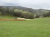 Kyellen Farm,, Quindanning WA 6391-Image