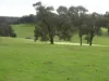 Kyellen Farm,, Quindanning WA 6391-Image