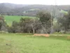 Kyellen Farm,, Quindanning WA 6391-Image