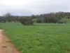 Kyellen Farm,, Quindanning WA 6391-Image