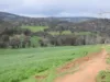 Kyellen Farm,, Quindanning WA 6391-Image
