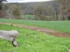 Kyellen Farm,, Quindanning WA 6391-Image