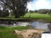Kyellen Farm,, Quindanning WA 6391-Image