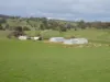 Kyellen Farm,, Quindanning WA 6391-Image