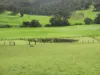 Kyellen Farm,, Quindanning WA 6391-Image