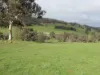 Kyellen Farm,, Quindanning WA 6391-Image