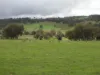 Kyellen Farm,, Quindanning WA 6391-Image