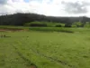 Kyellen Farm,, Quindanning WA 6391-Image