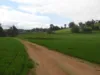 Kyellen Farm,, Quindanning WA 6391-Image
