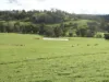Kyellen Farm,, Quindanning WA 6391-Image