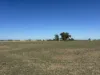 . Lilydale Road, Balldale, NSW 2646-Image