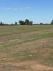 . Lilydale Road, Balldale, NSW 2646-Image