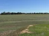 . Lilydale Road, Balldale, NSW 2646-Image