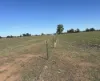 . Lilydale Road, Balldale, NSW 2646-Image