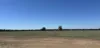 . Lilydale Road, Balldale, NSW 2646-Image