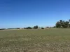 . Lilydale Road, Balldale, NSW 2646-Image