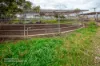 'Little Fields North 220 Middlebrook Road, Scone, NSW 2337-Image