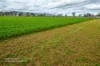 'Little Fields North 220 Middlebrook Road, Scone, NSW 2337-Image
