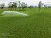 'Little Fields North 220 Middlebrook Road, Scone, NSW 2337-Image