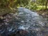 Lot 1 and 2 Roos Road, Little Mulgrave, Qld 4865-Image