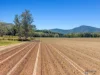 Lot 1 and 2 Roos Road, Little Mulgrave, Qld 4865-Image