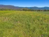 Lot 1 and 2 Roos Road, Little Mulgrave, Qld 4865-Image