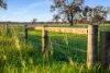 Lot 1 Burgess Lane, Naracoorte, SA 5271-Image