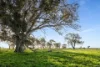 Lot 1 Burgess Lane, Naracoorte, SA 5271-Image