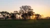 Lot 1 Burgess Lane, Naracoorte, SA 5271-Image