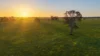 Lot 1 Burgess Lane, Naracoorte, SA 5271-Image