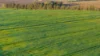 Lot 1 Burgess Lane, Naracoorte, SA 5271-Image
