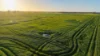 Lot 1 Burgess Lane, Naracoorte, SA 5271-Image