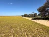 Lot 1 Calzoni Road, Woolocutty, WA 6369-Image